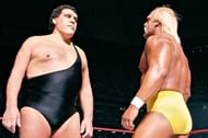Hogan v Andre
